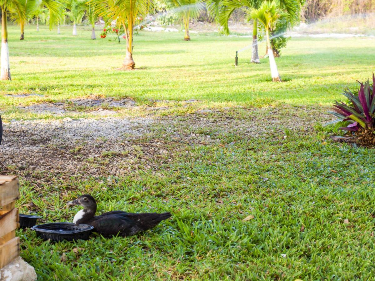 Villa Aldea Isla Sagrada à Cozumel Extérieur photo