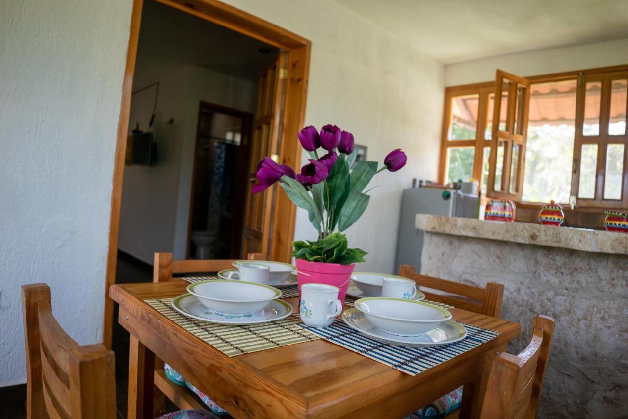 Villa Aldea Isla Sagrada à Cozumel Extérieur photo